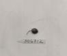 Click for 1 image(s) for this accession. FRUIT